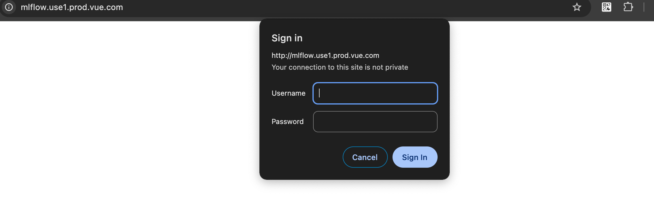 MLflow Authentication